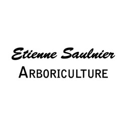 Logo - Étienne Saulnier